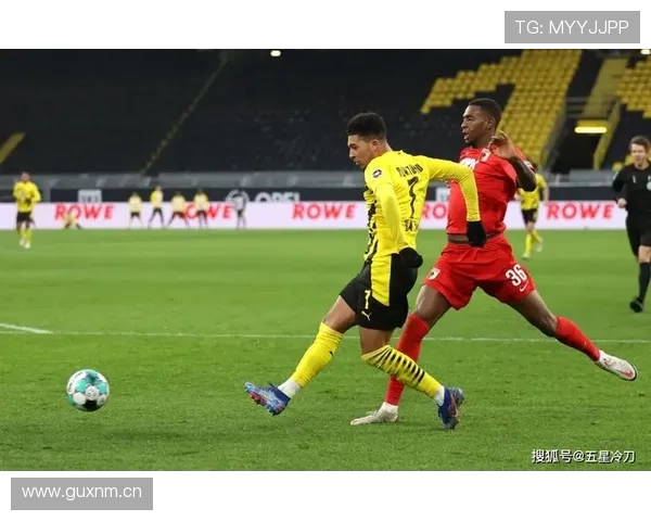 外物入场干扰比赛，裁判该如何判罚？